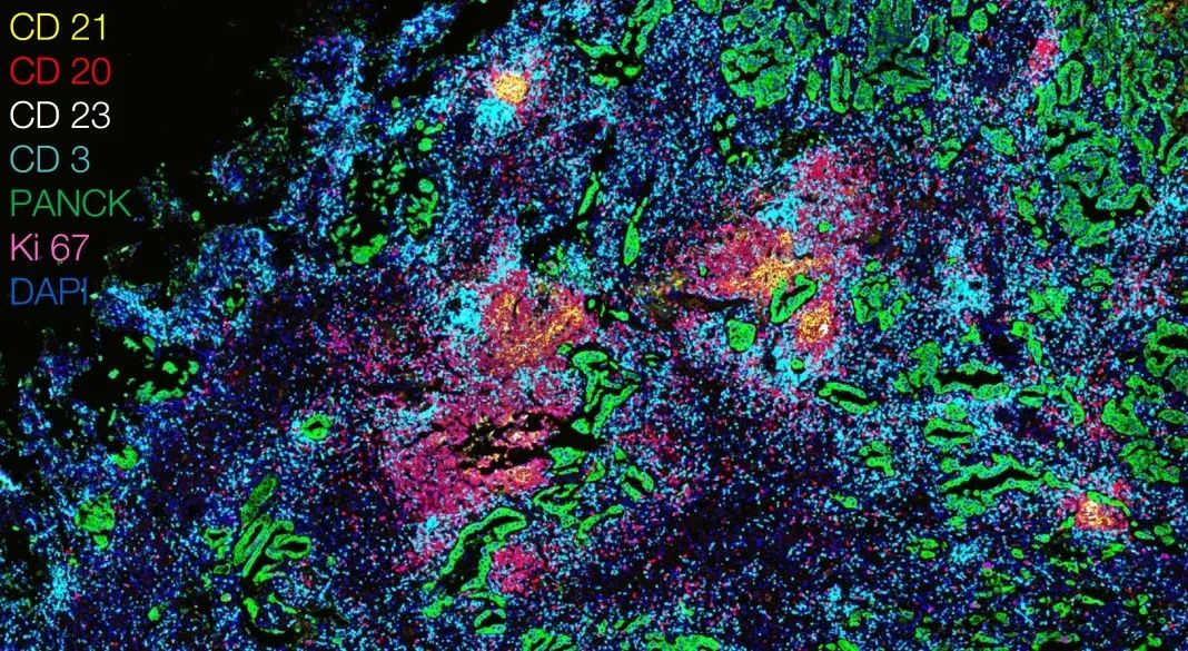 澄迈澄迈蔡司显微镜